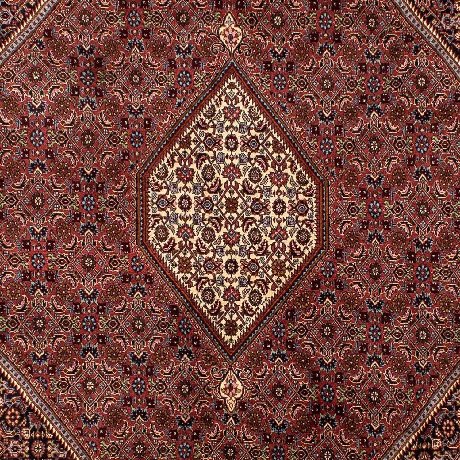 Tappeto Persero - Bidjar - 298 x 198 cm - marrone