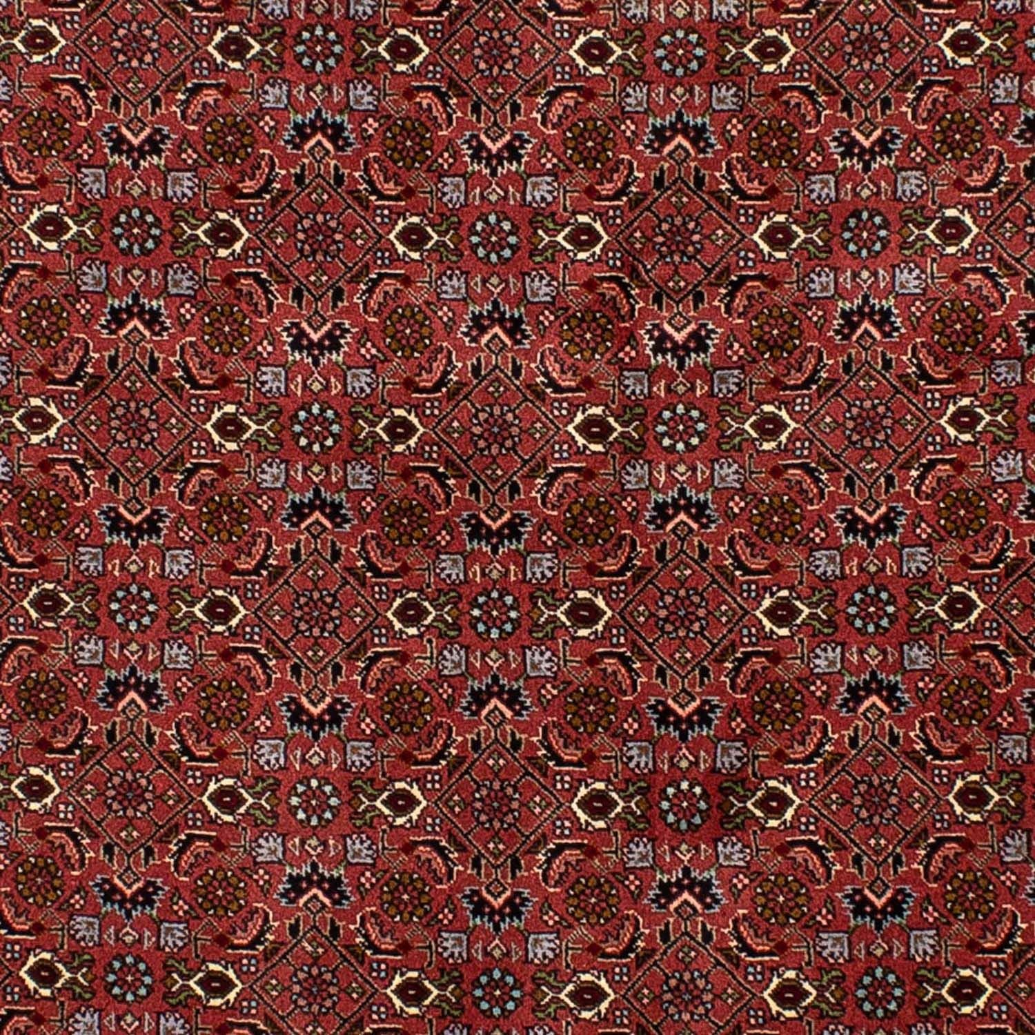 Tappeto Persero - Bidjar - 205 x 136 cm - rosso scuro