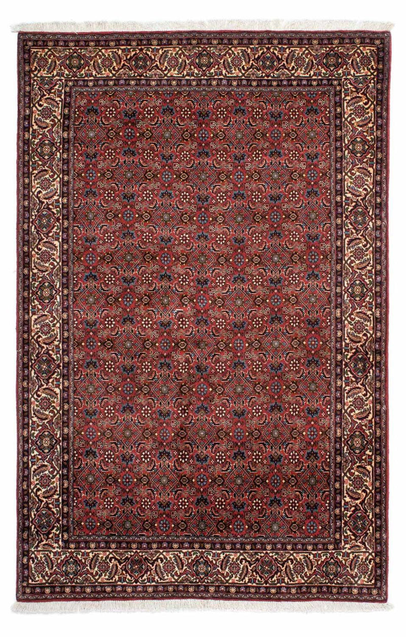 Tappeto Persero - Bidjar - 218 x 136 cm - rosso