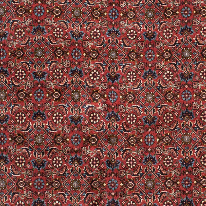 Tappeto Persero - Bidjar - 218 x 136 cm - rosso