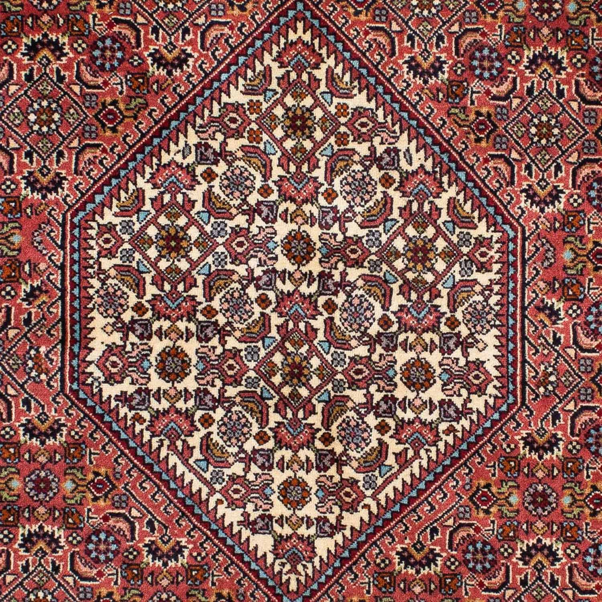 Tappeto Persero - Bidjar - 220 x 135 cm - rosso