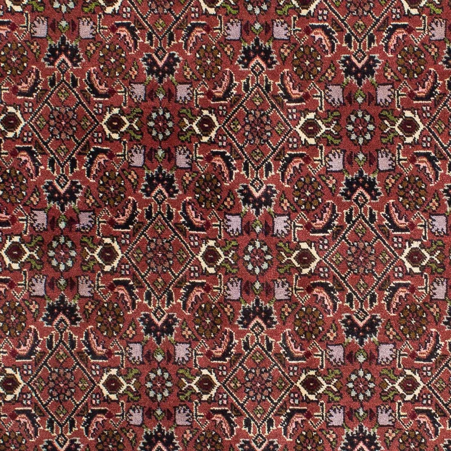 Tappeto Persero - Bidjar - 208 x 139 cm - rosso
