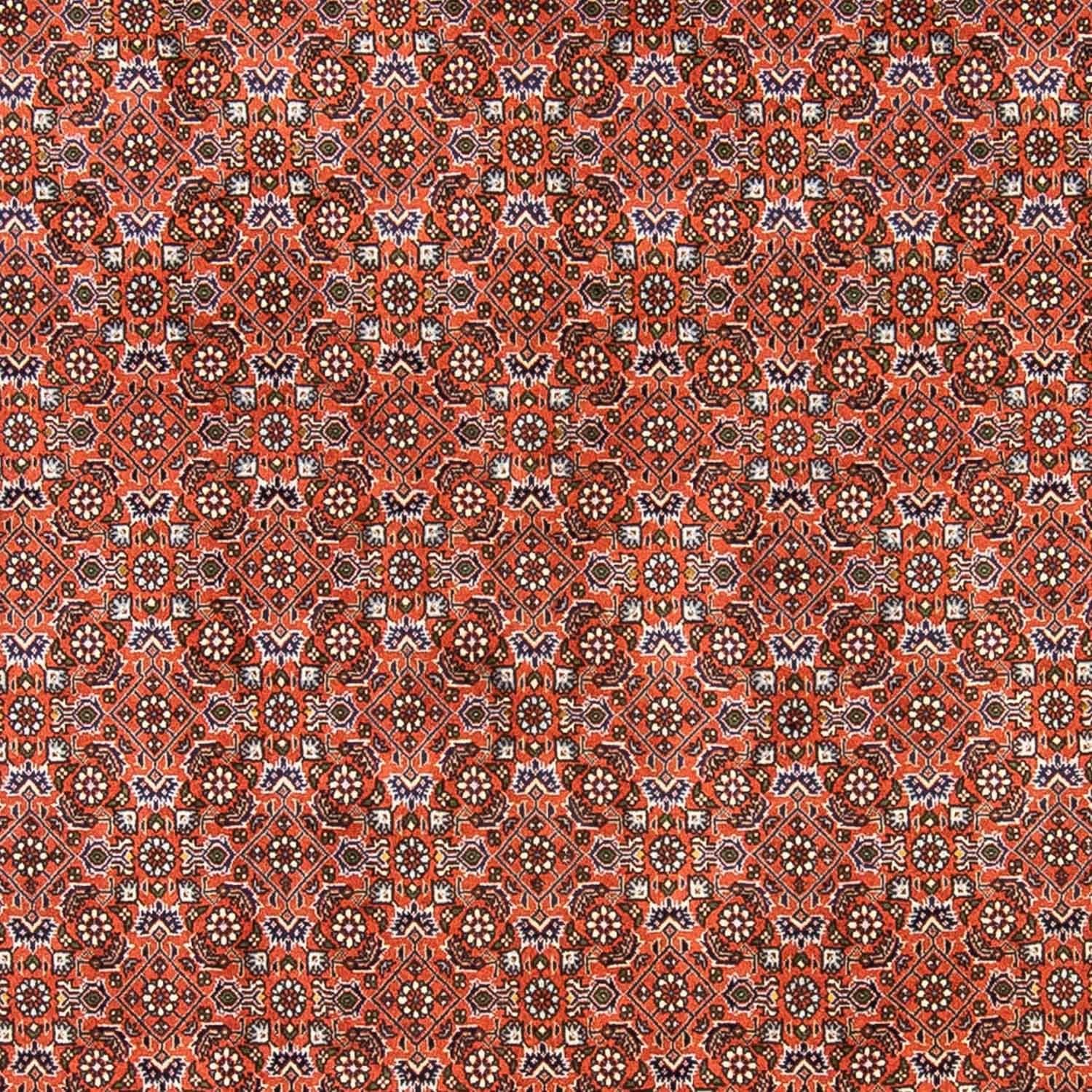 Tappeto Persero - Bidjar - 237 x 168 cm - rosso chiaro