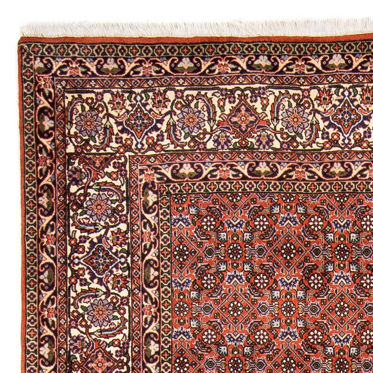 Tappeto Persero - Bidjar - 237 x 168 cm - rosso chiaro