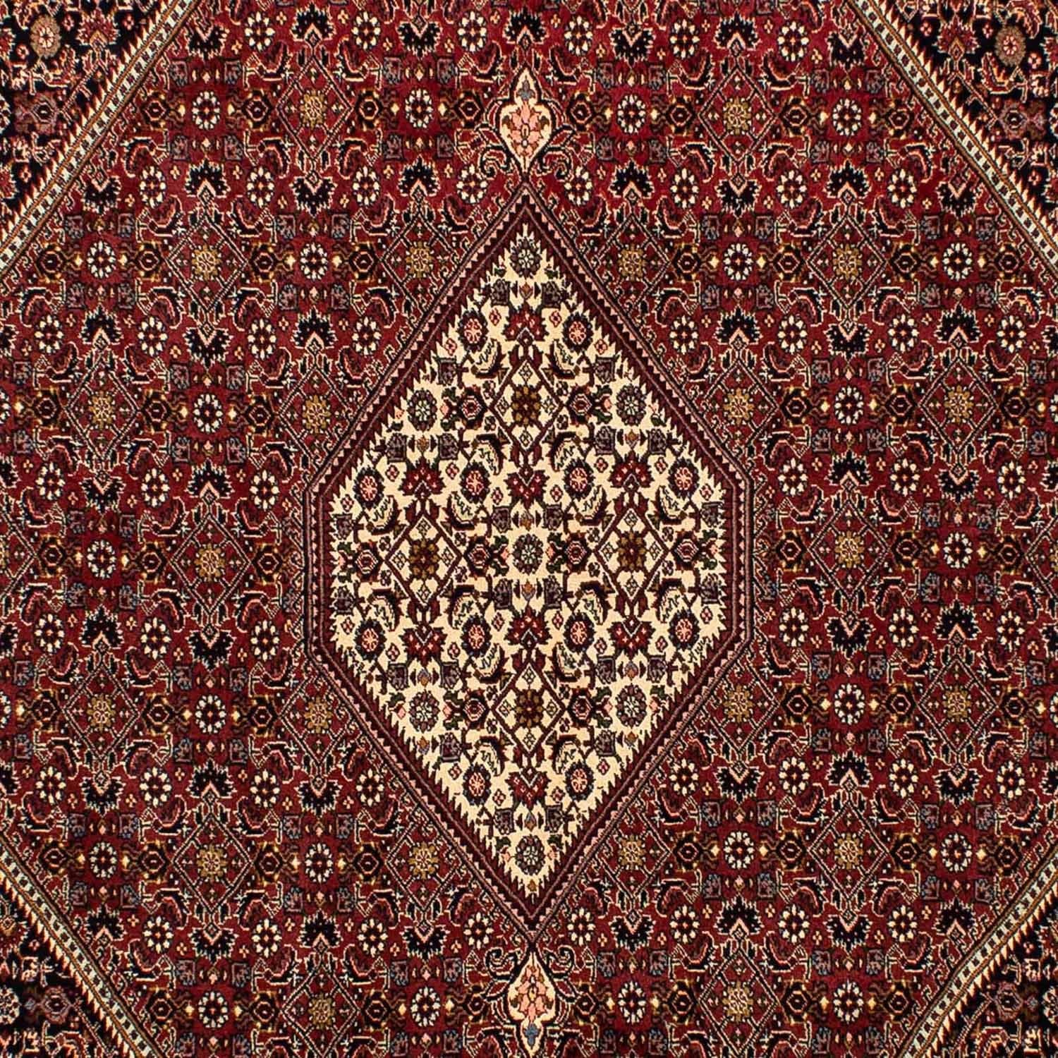 Tappeto Persero - Bidjar - 296 x 201 cm - marrone