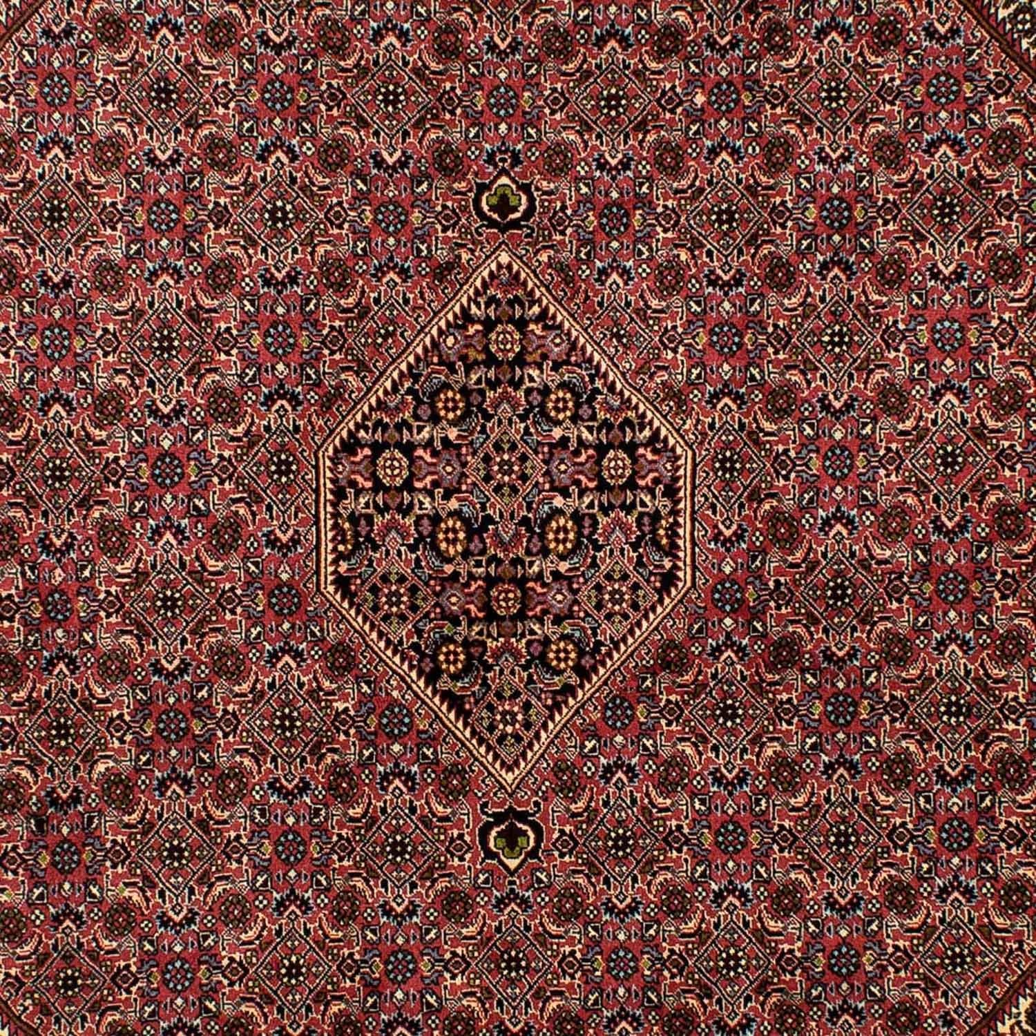 Tappeto Persero - Bidjar - 291 x 201 cm - rosso chiaro