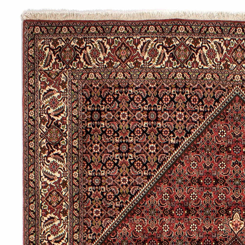 Tappeto Persero - Bidjar - 283 x 204 cm - rosso scuro