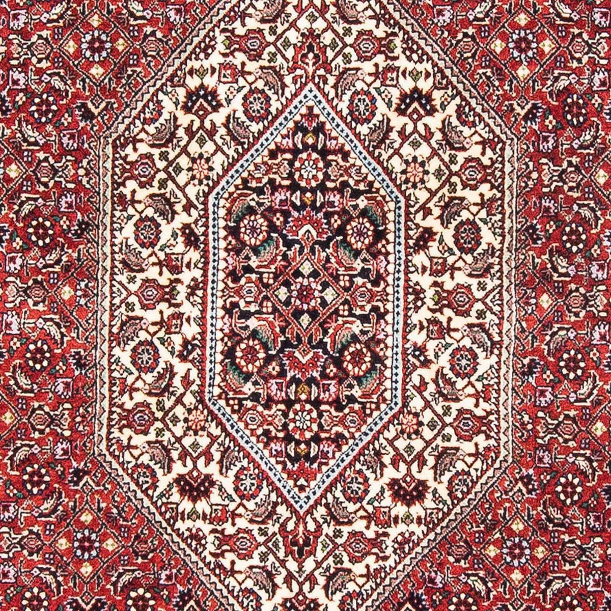 Tappeto Persero - Bidjar - 178 x 108 cm - rosso