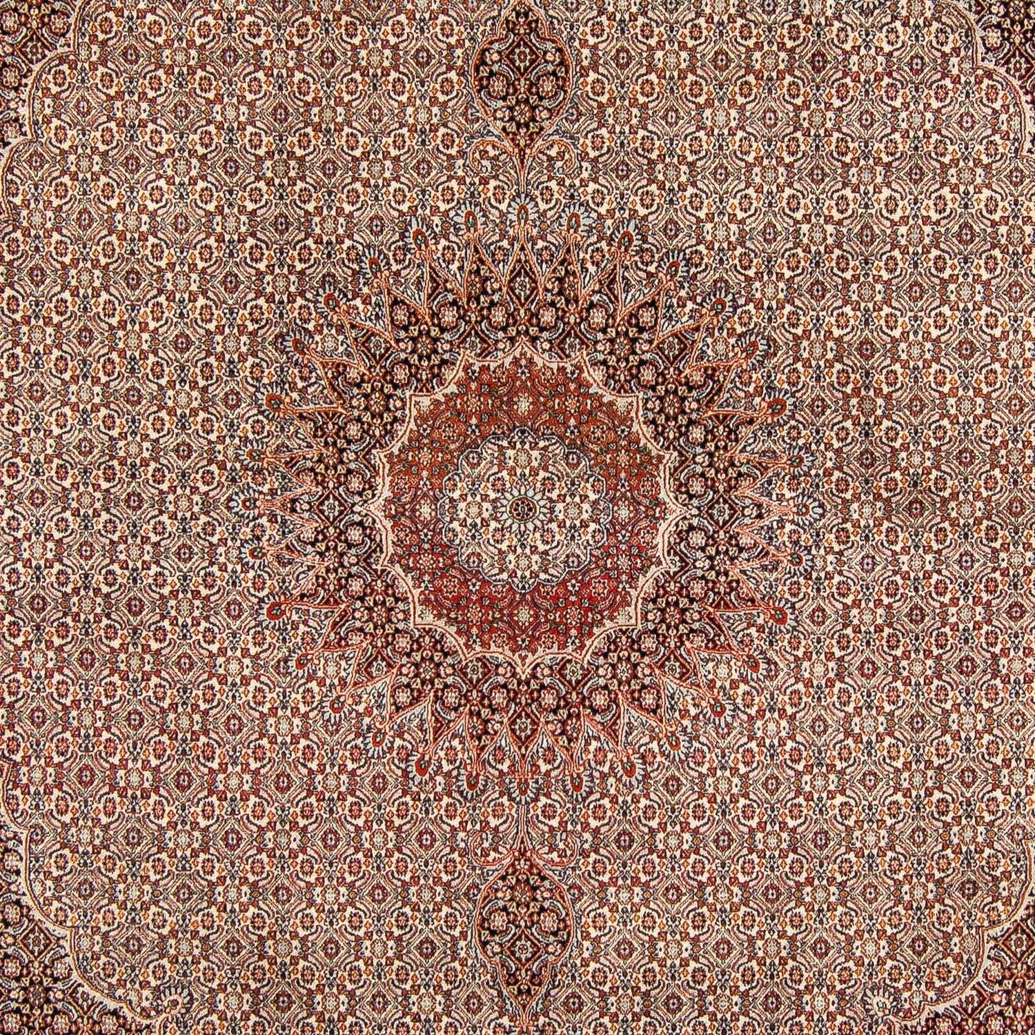 Tappeto Persero - Classico - 290 x 248 cm - marrone scuro