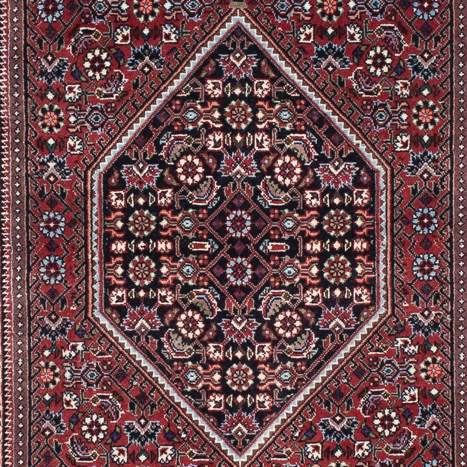 Tappeto corsia Tappeto Persero - Bidjar - 225 x 72 cm - rosso