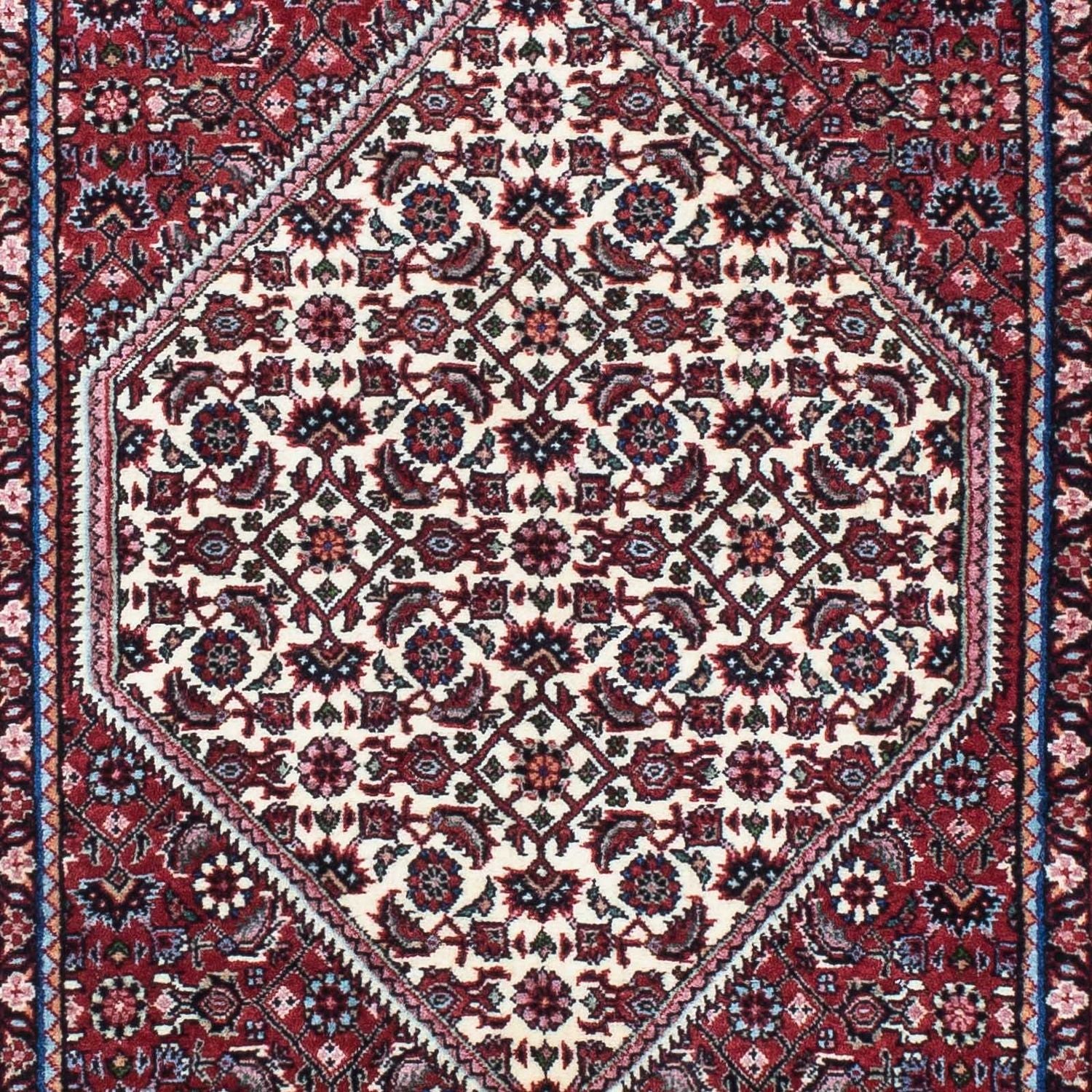 Tappeto corsia Tappeto Persero - Bidjar - 213 x 76 cm - beige