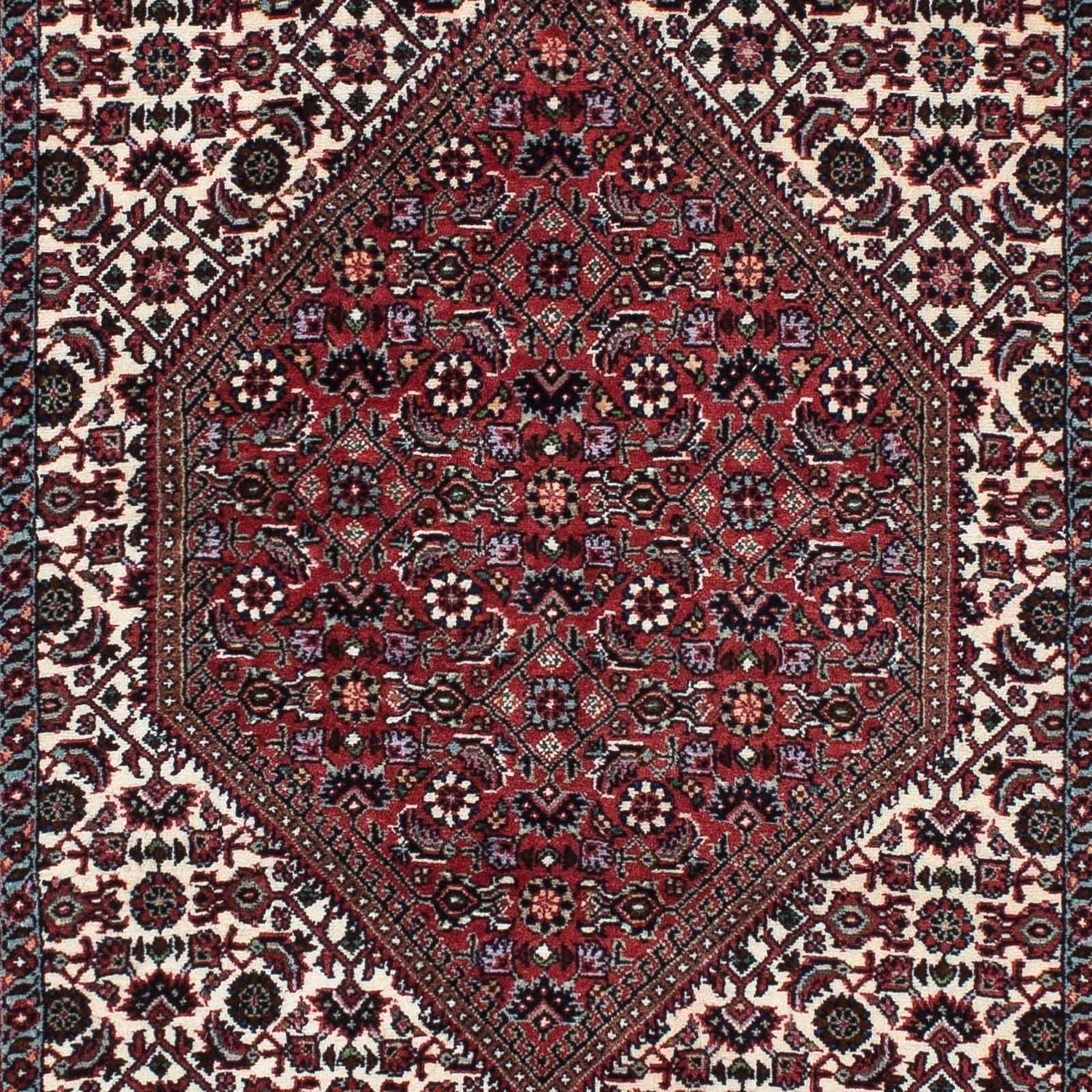 Tappeto corsia Tappeto Persero - Bidjar - 217 x 74 cm - beige