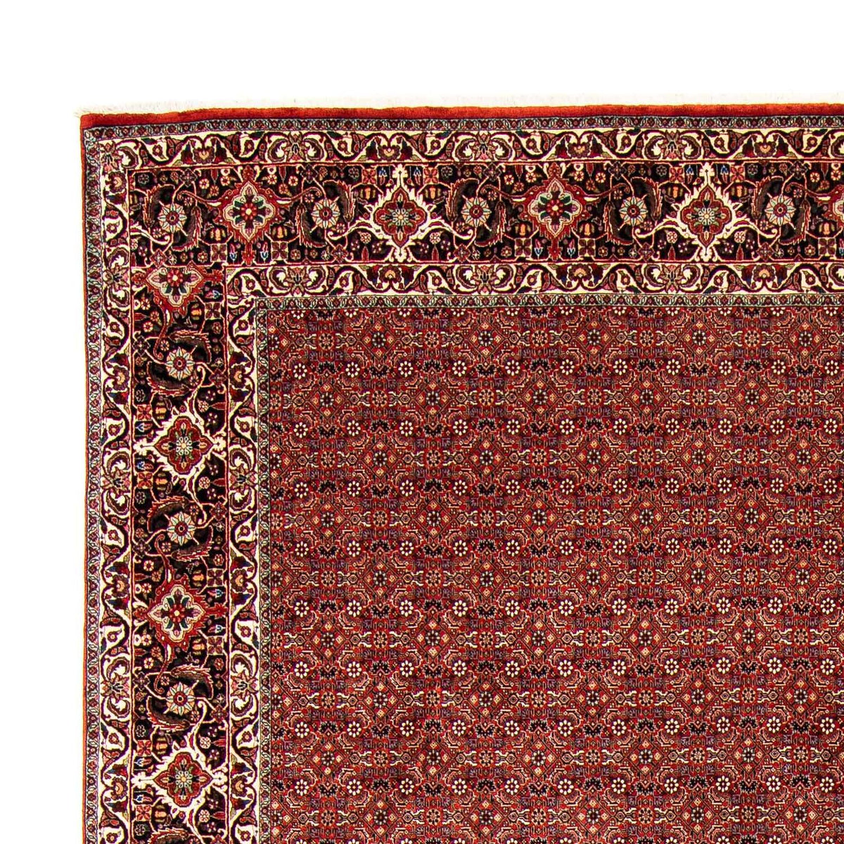 Tappeto Persero - Bidjar - 403 x 298 cm - rosso scuro