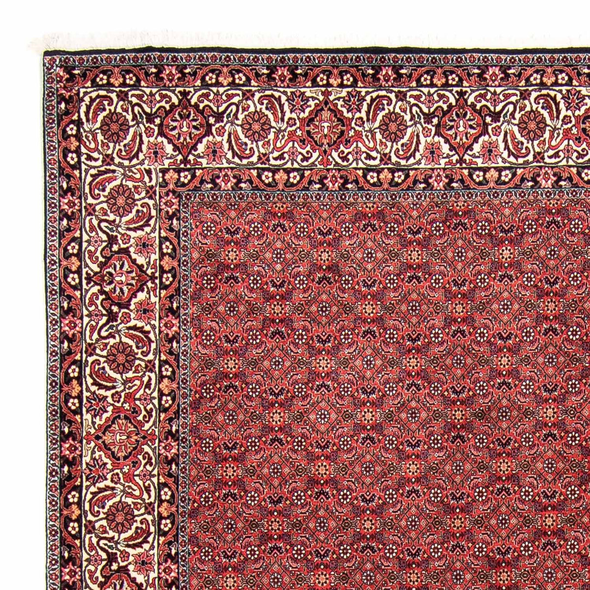 Tappeto Persero - Bidjar - 296 x 250 cm - rosso scuro