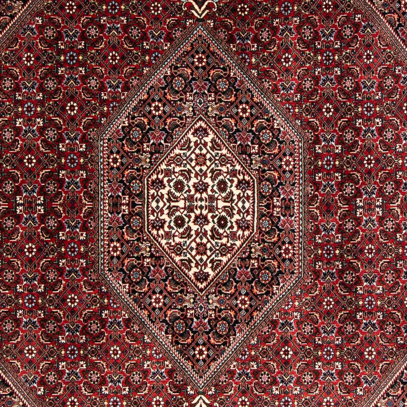 Tappeto Persero - Bidjar - 235 x 170 cm - rosso scuro