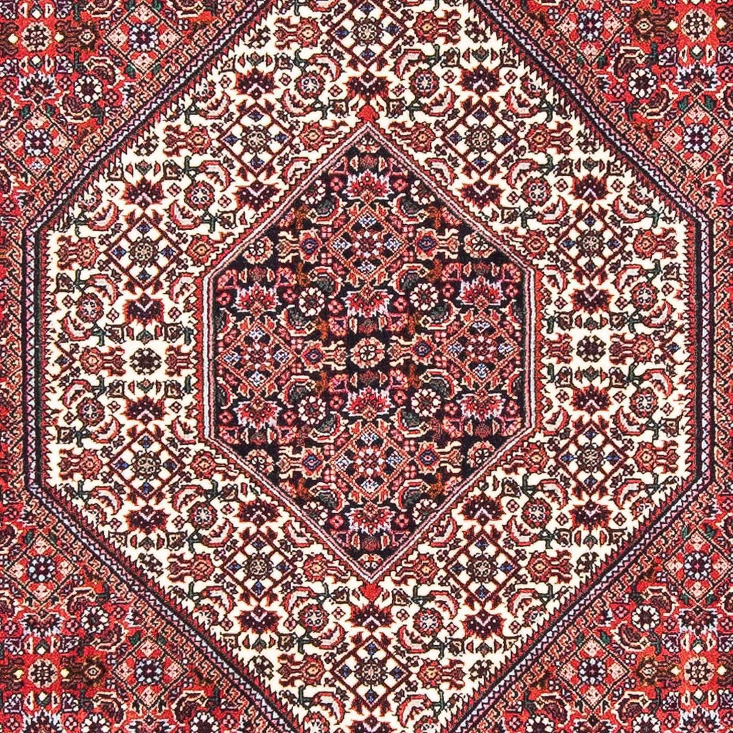 Tappeto Persero - Bidjar - 180 x 112 cm - rosso