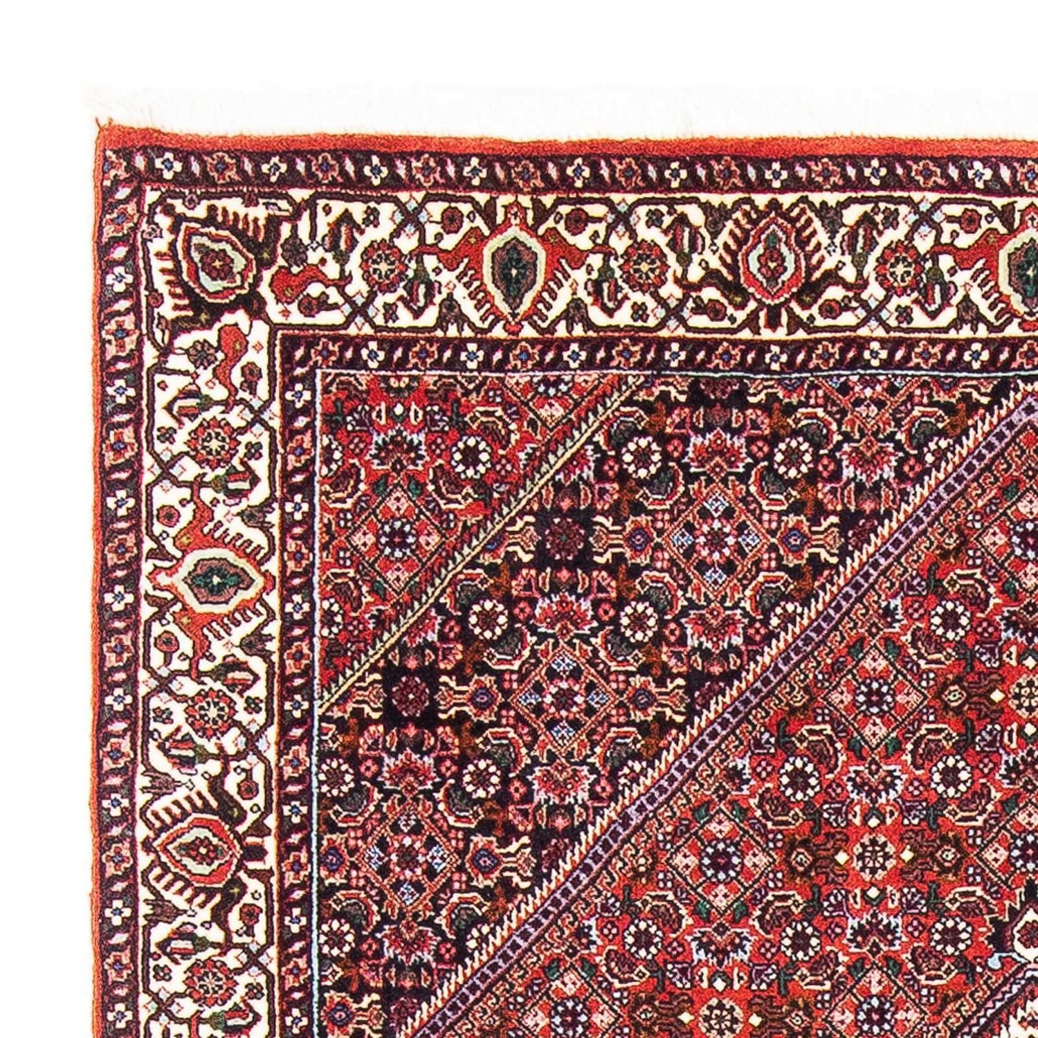 Tappeto Persero - Bidjar - 180 x 112 cm - rosso