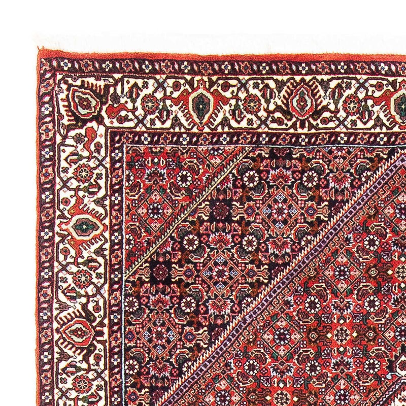 Tappeto Persero - Bidjar - 180 x 112 cm - rosso