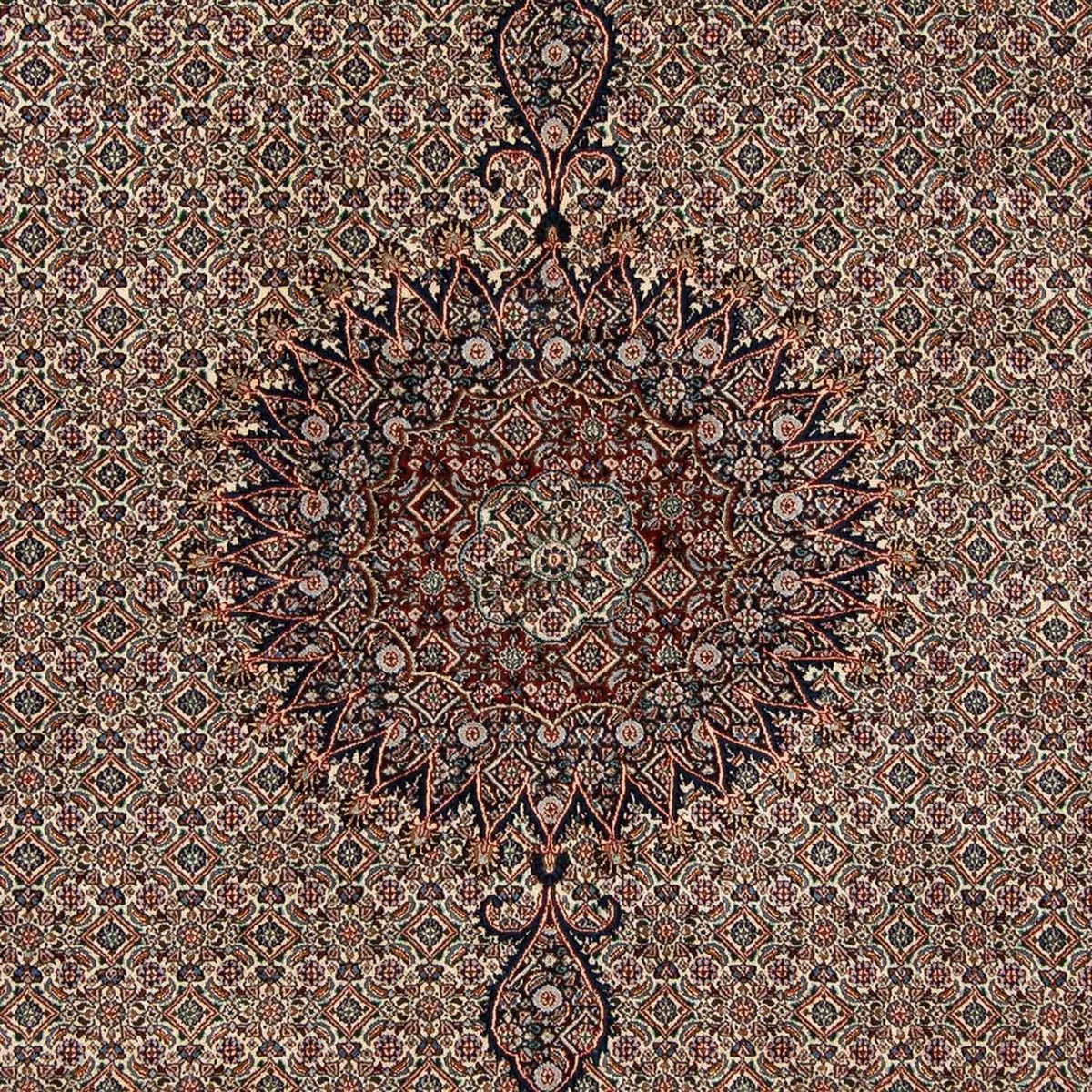 Tappeto Persero - Classico - 305 x 202 cm - beige