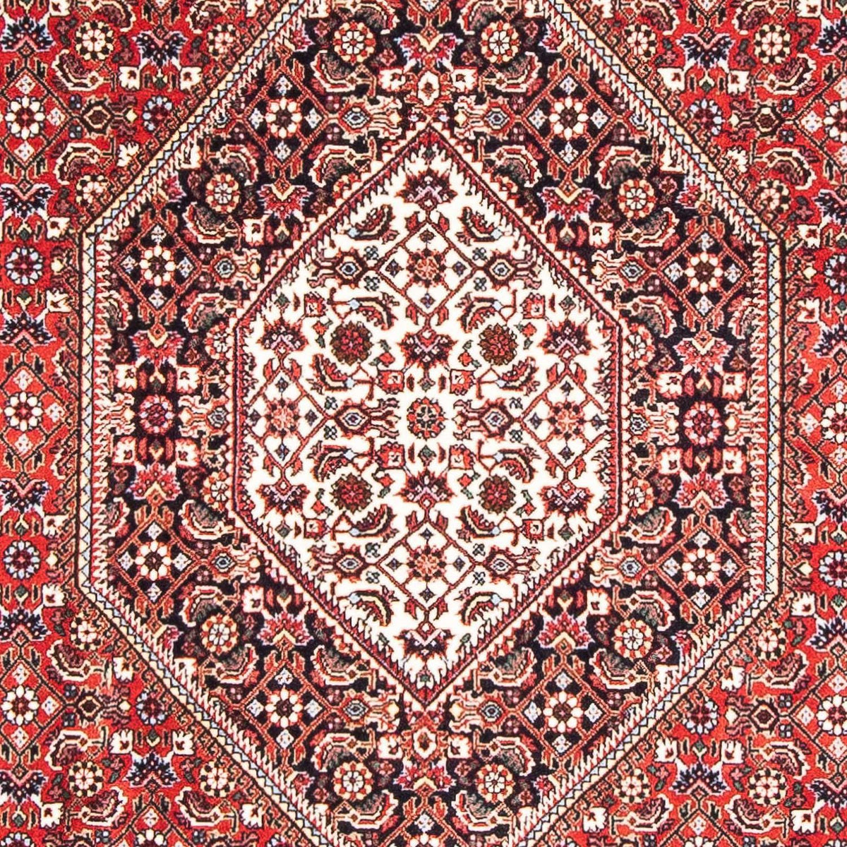 Tappeto Persero - Bidjar - 180 x 113 cm - rosso
