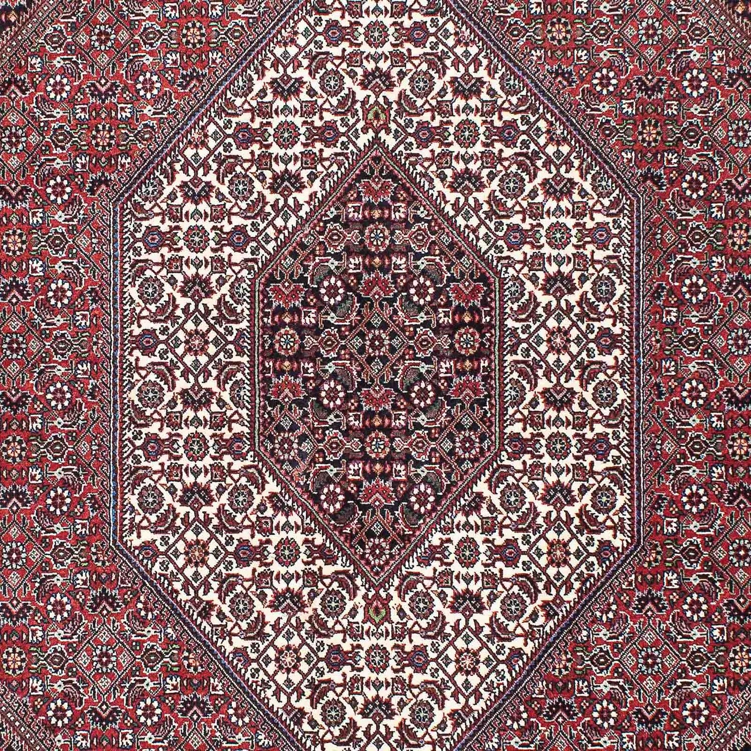 Tappeto Persero - Bidjar - 215 x 140 cm - rosso
