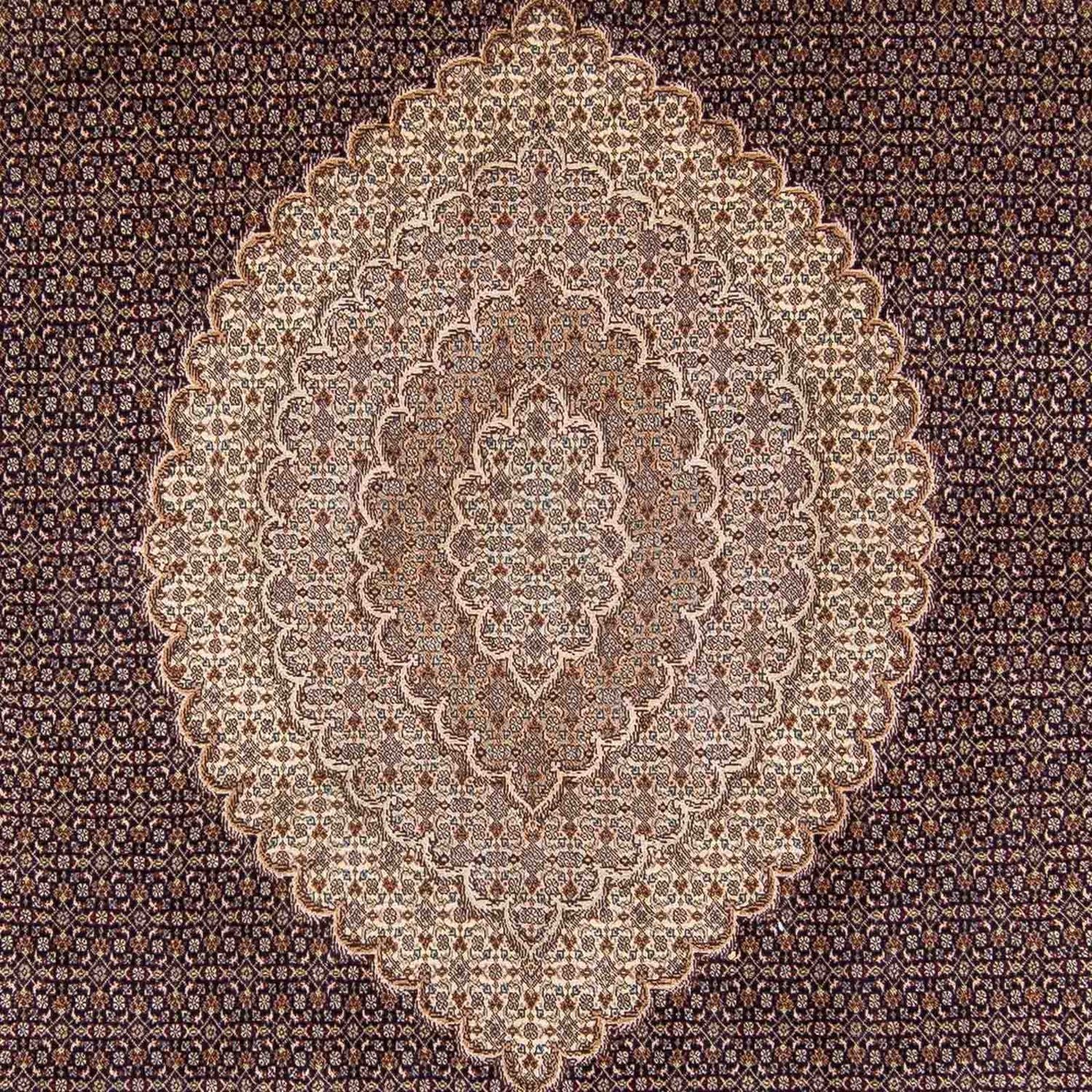 Tappeto Persero - Tabriz - 354 x 250 cm - marrone chiaro