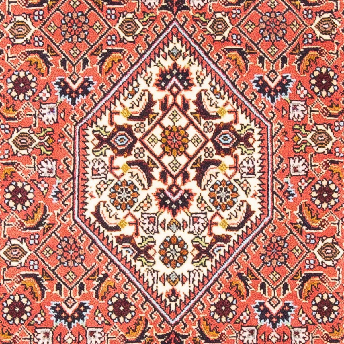 Tappeto Persero - Bidjar - 150 x 81 cm - rosso chiaro