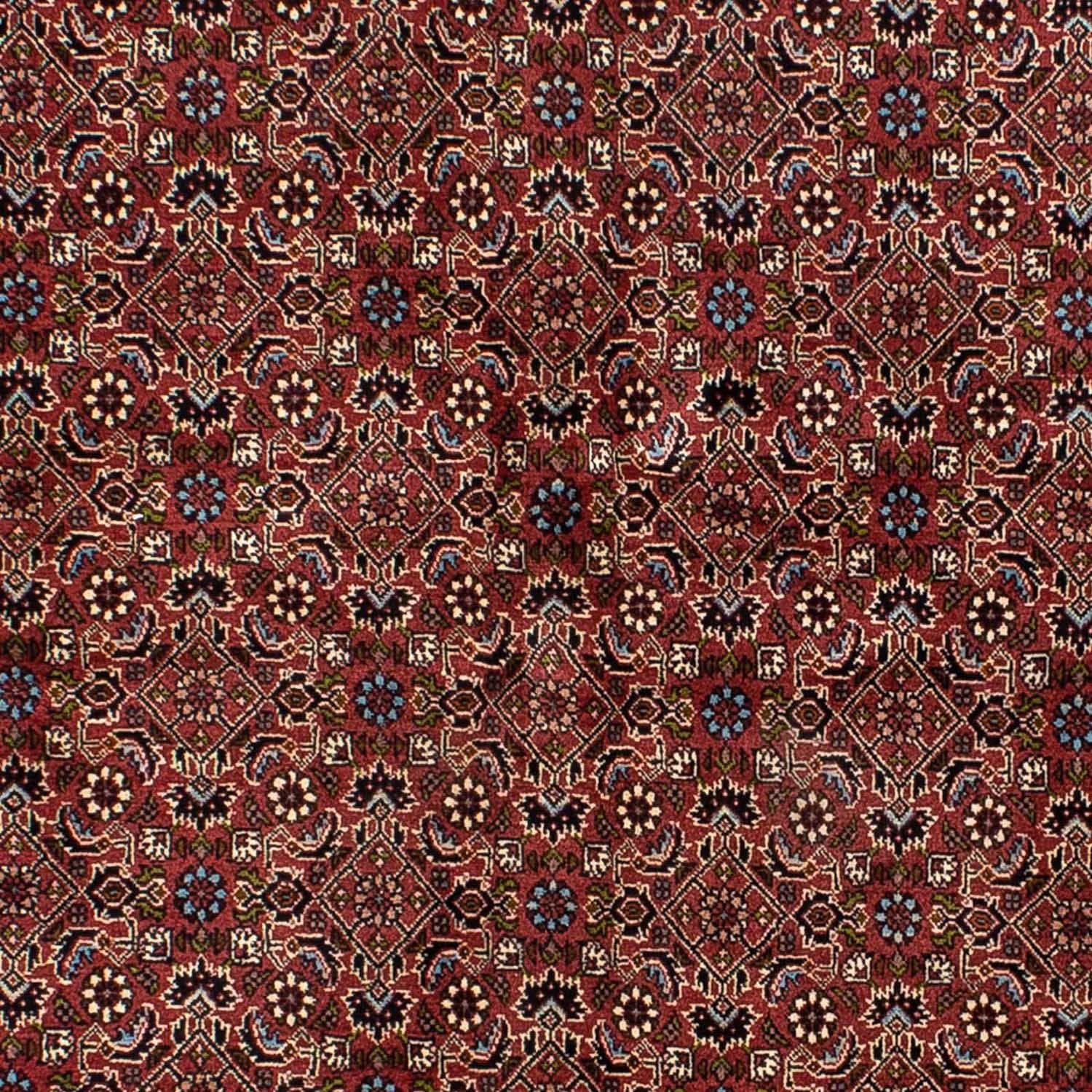 Tappeto Persero - Bidjar - 205 x 141 cm - rosso scuro