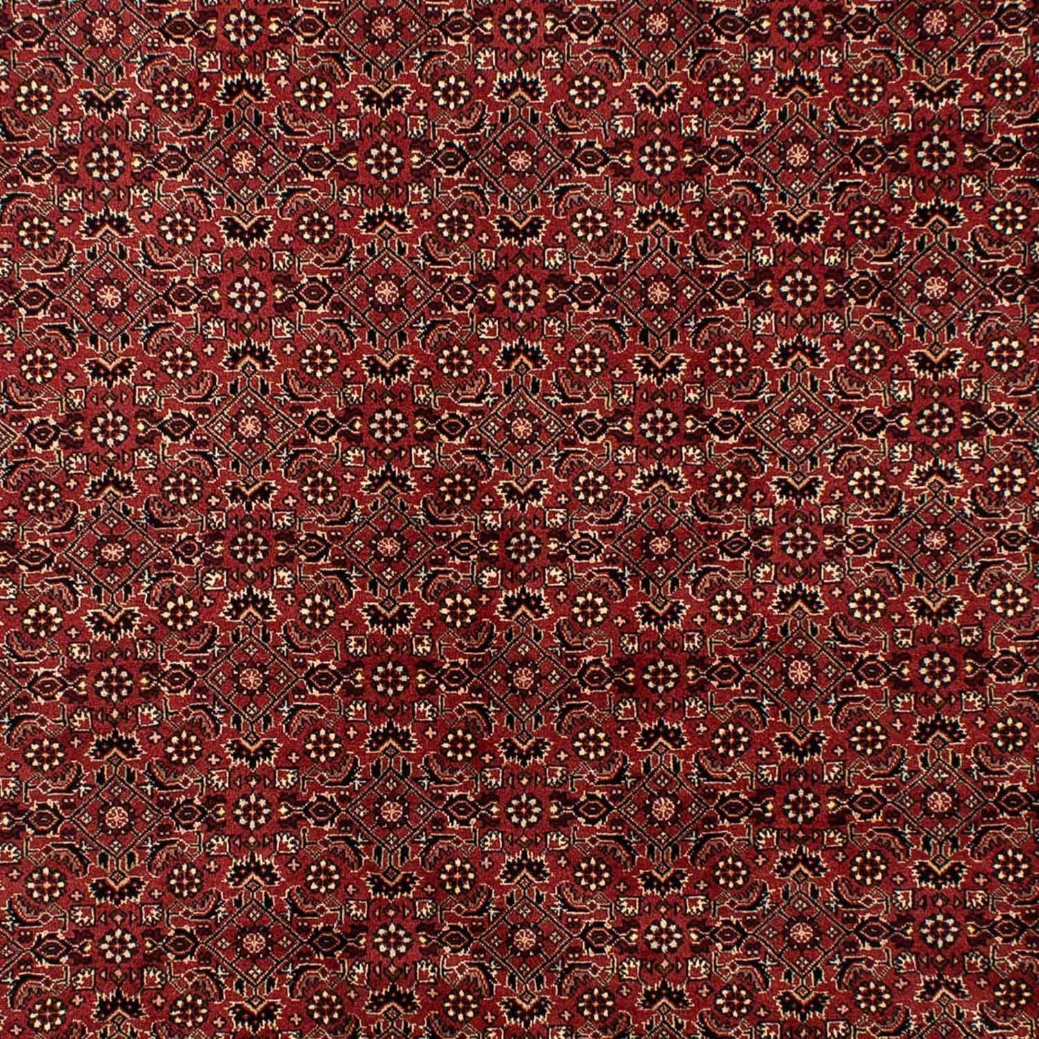 Tappeto Persero - Bidjar - 297 x 197 cm - rosso scuro