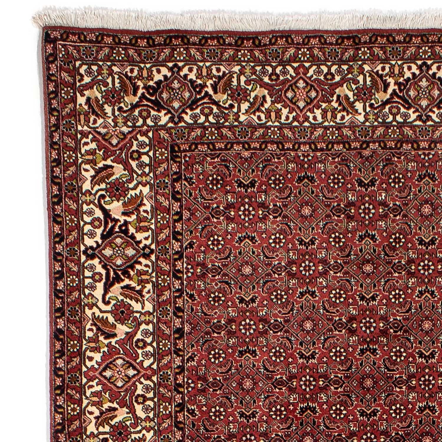 Tappeto Persero - Bidjar - 297 x 197 cm - rosso scuro