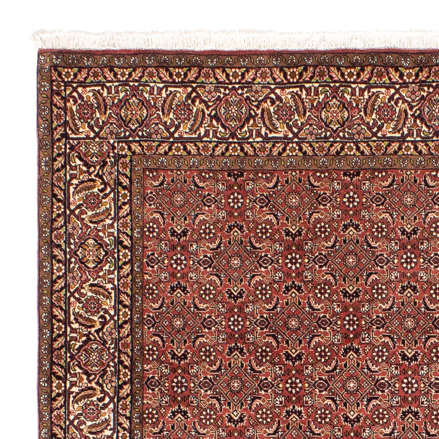 Tappeto Persero - Bidjar quadrato  - 200 x 195 cm - rosso chiaro