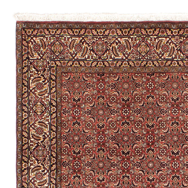 Tappeto Persero - Bidjar quadrato  - 200 x 195 cm - rosso chiaro