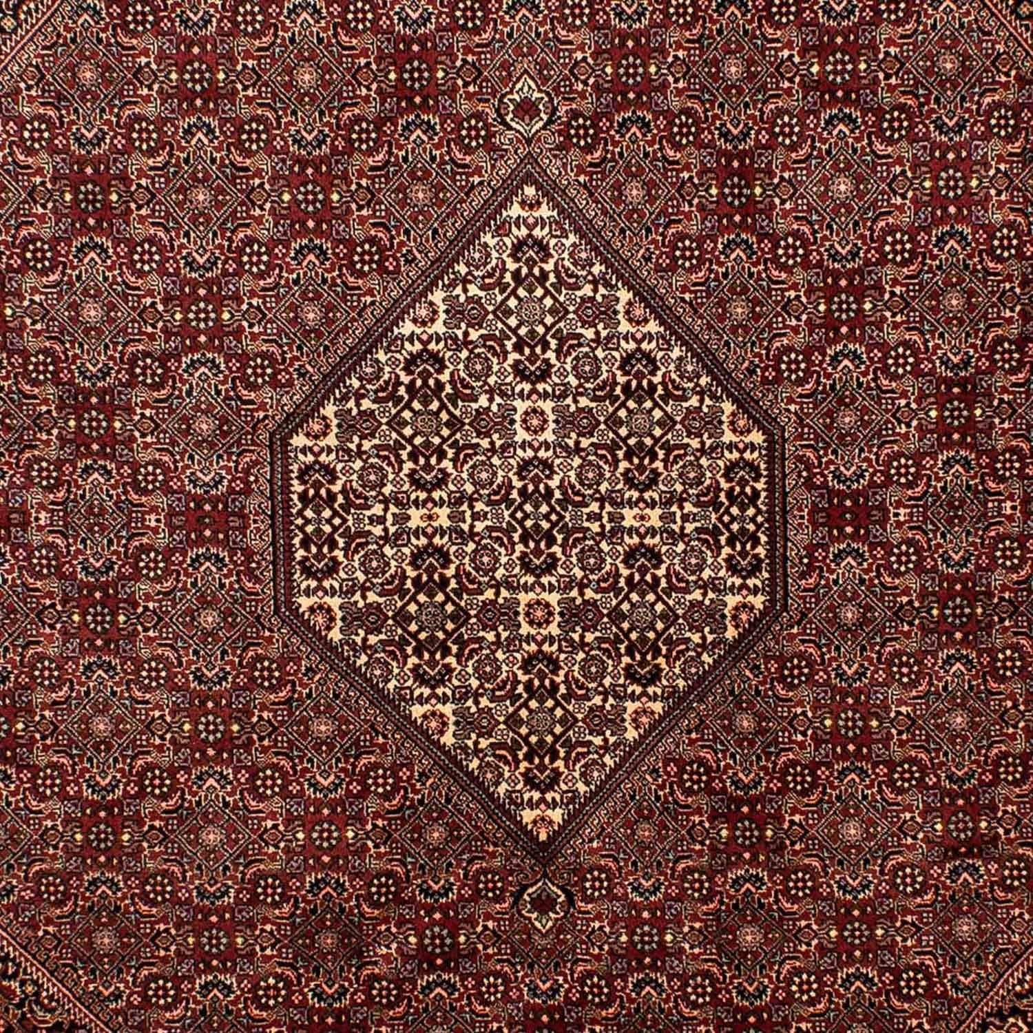 Tappeto Persero - Bidjar - 284 x 199 cm - marrone