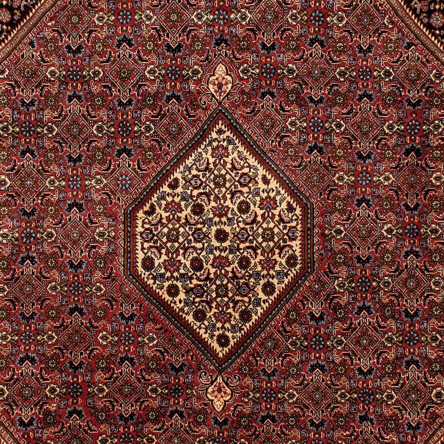 Tappeto Persero - Bidjar - 288 x 202 cm - marrone