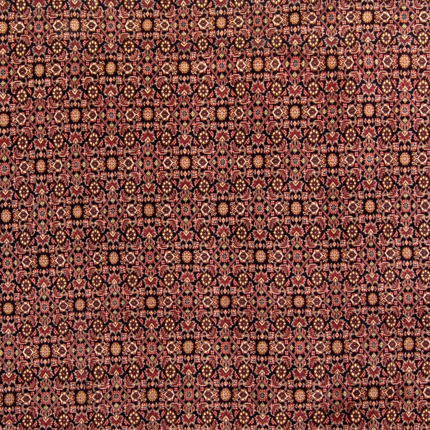 Tappeto Persero - Bidjar - 343 x 254 cm - marrone