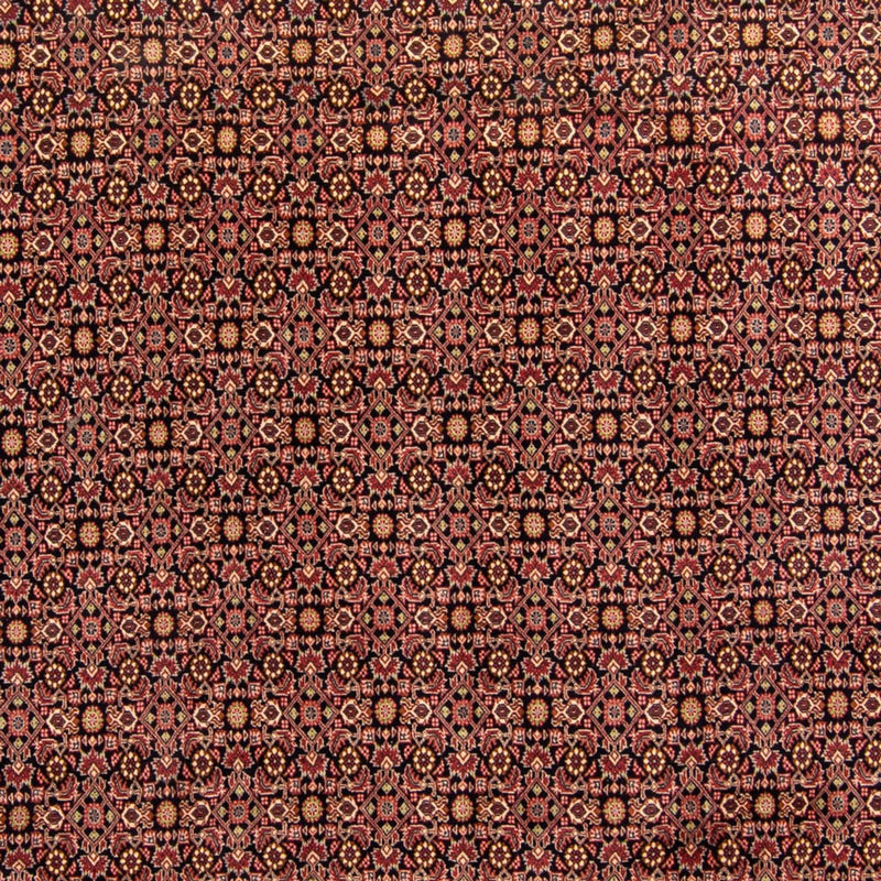 Tappeto Persero - Bidjar - 343 x 254 cm - marrone
