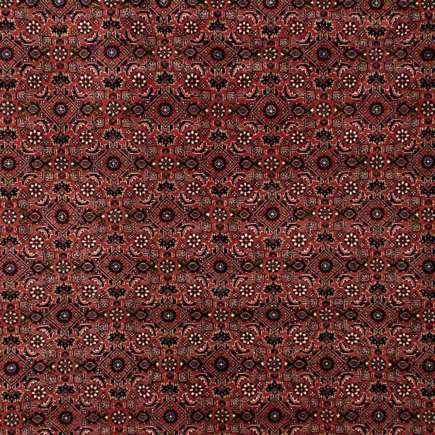Tappeto Persero - Bidjar - 295 x 196 cm - rosso scuro