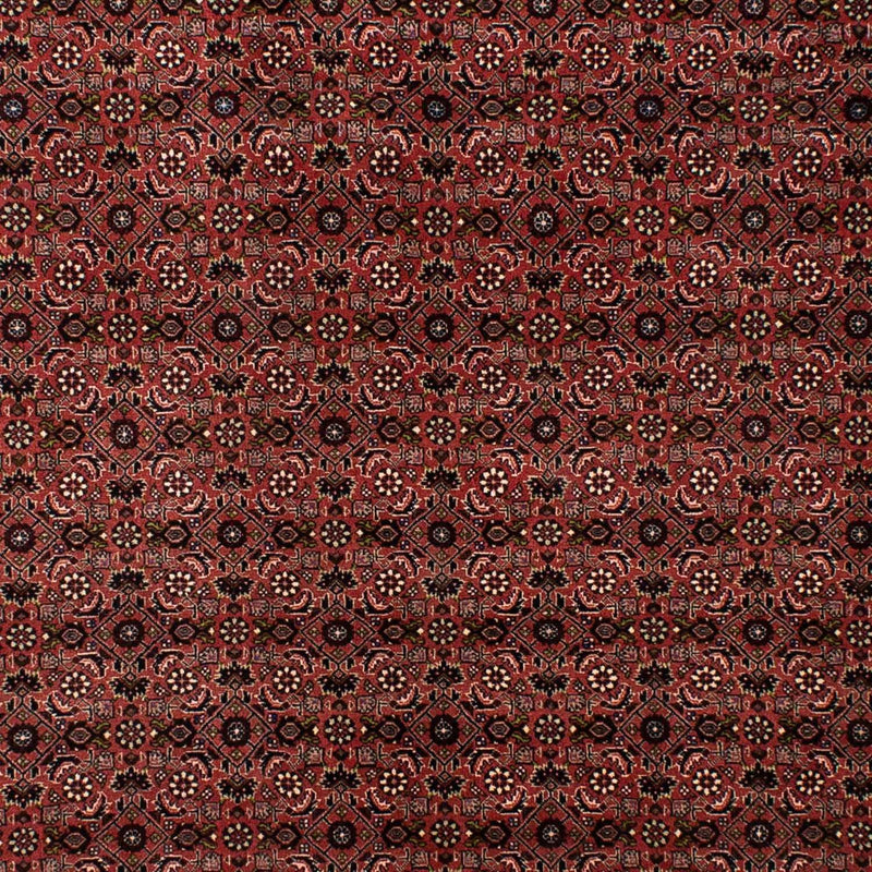 Tappeto Persero - Bidjar - 295 x 196 cm - rosso scuro