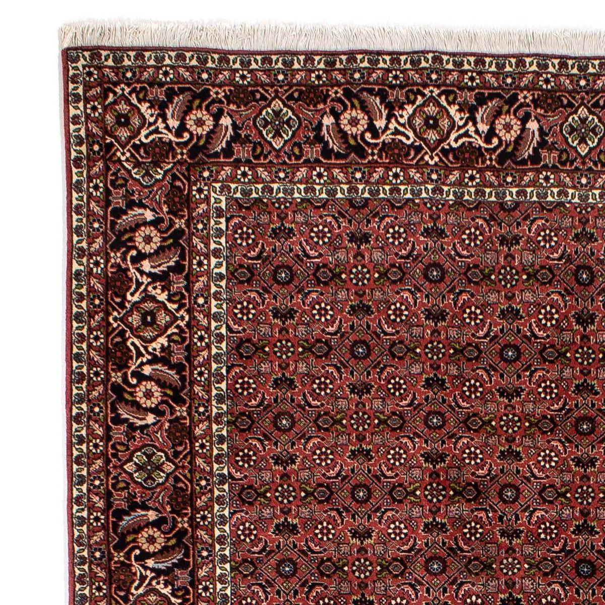 Bidjar Tappeto 196x295cm - Tappeto persiano