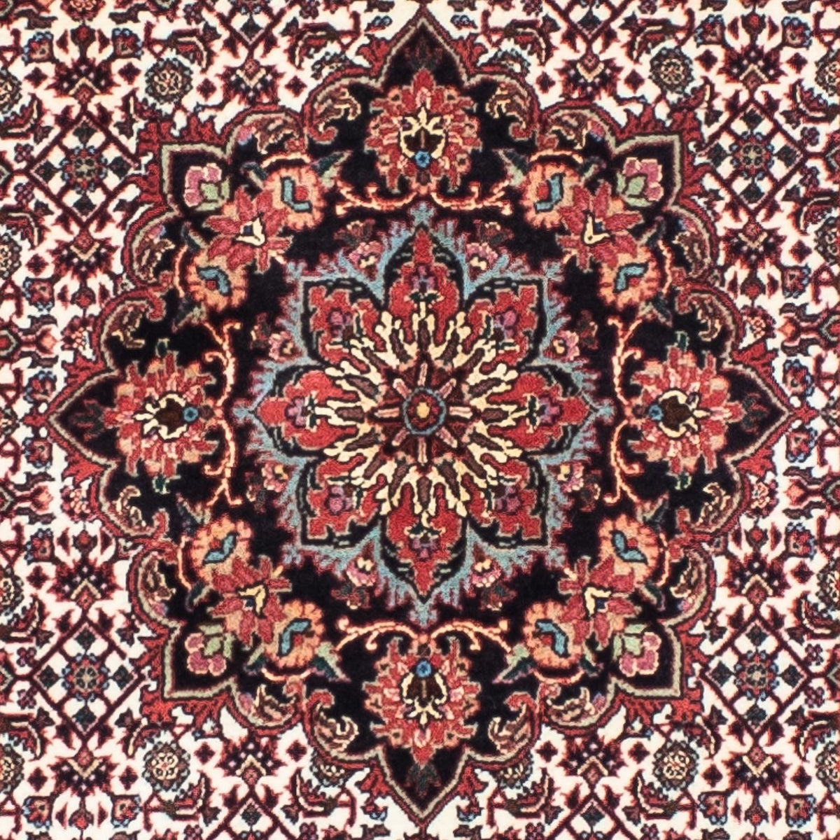 Tappeto corsia Tappeto Persero - Bidjar - 240 x 70 cm - beige