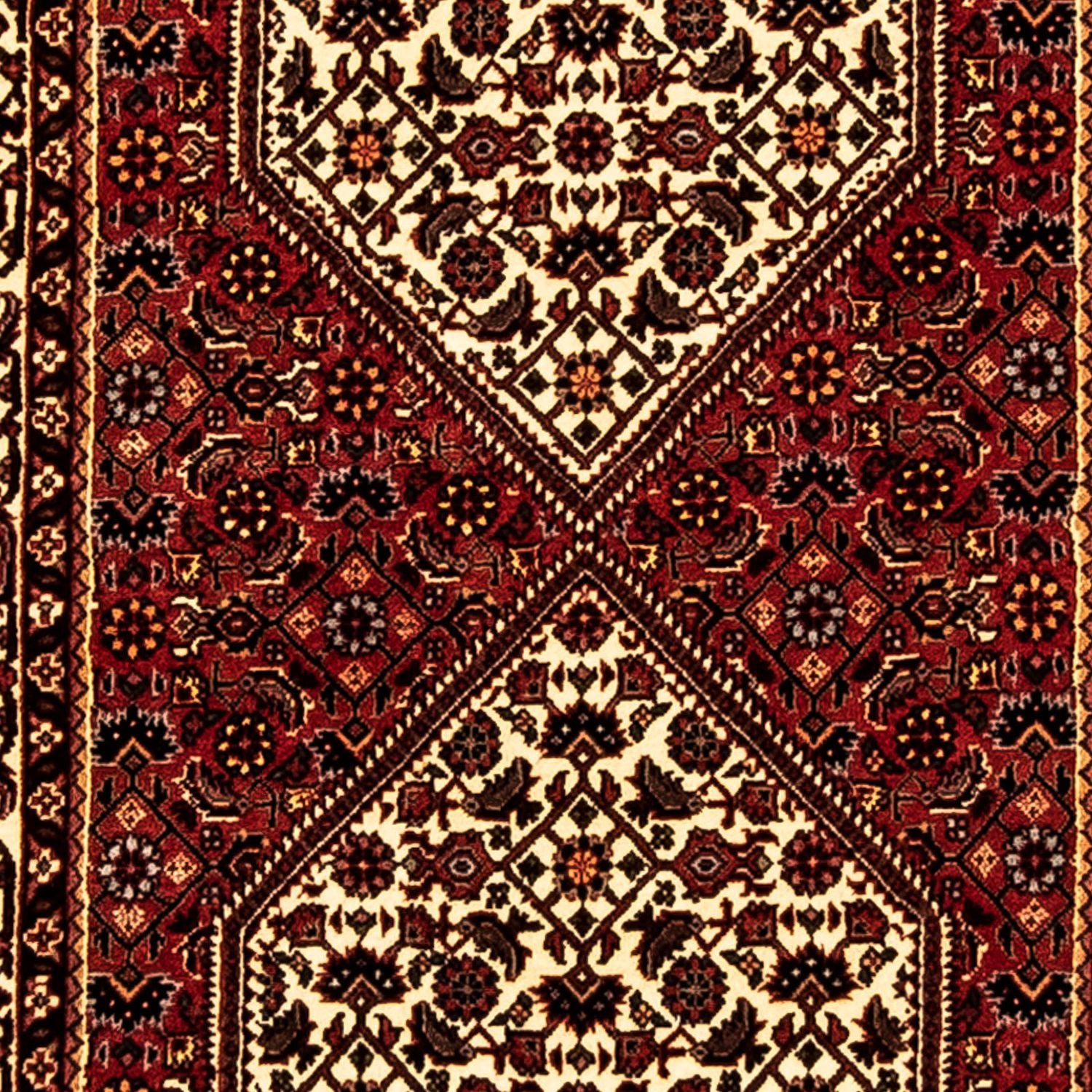 Tappeto corsia Tappeto Persero - Bidjar - 247 x 73 cm - multicolore