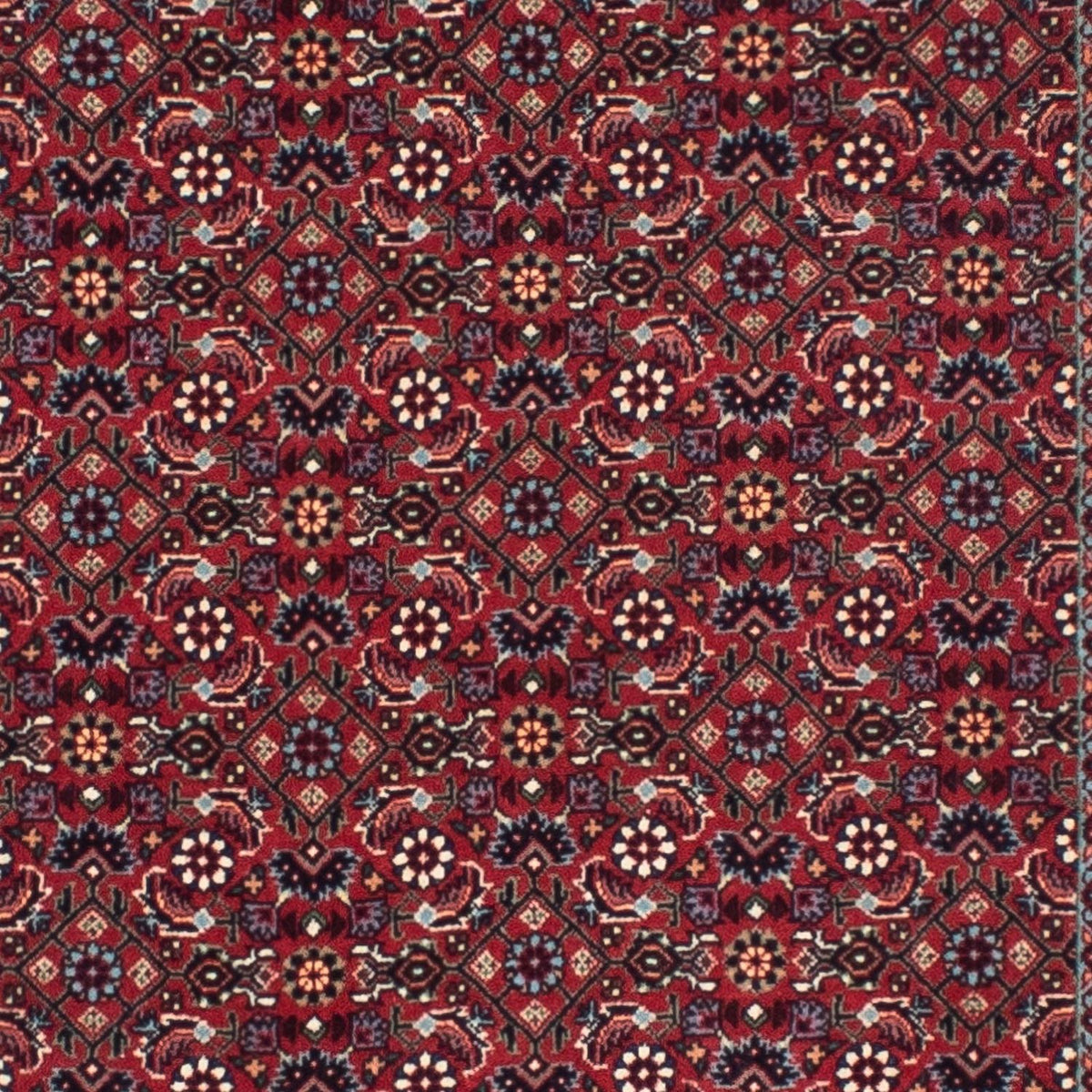 Tappeto corsia Tappeto Persero - Bidjar - 302 x 81 cm - rosso
