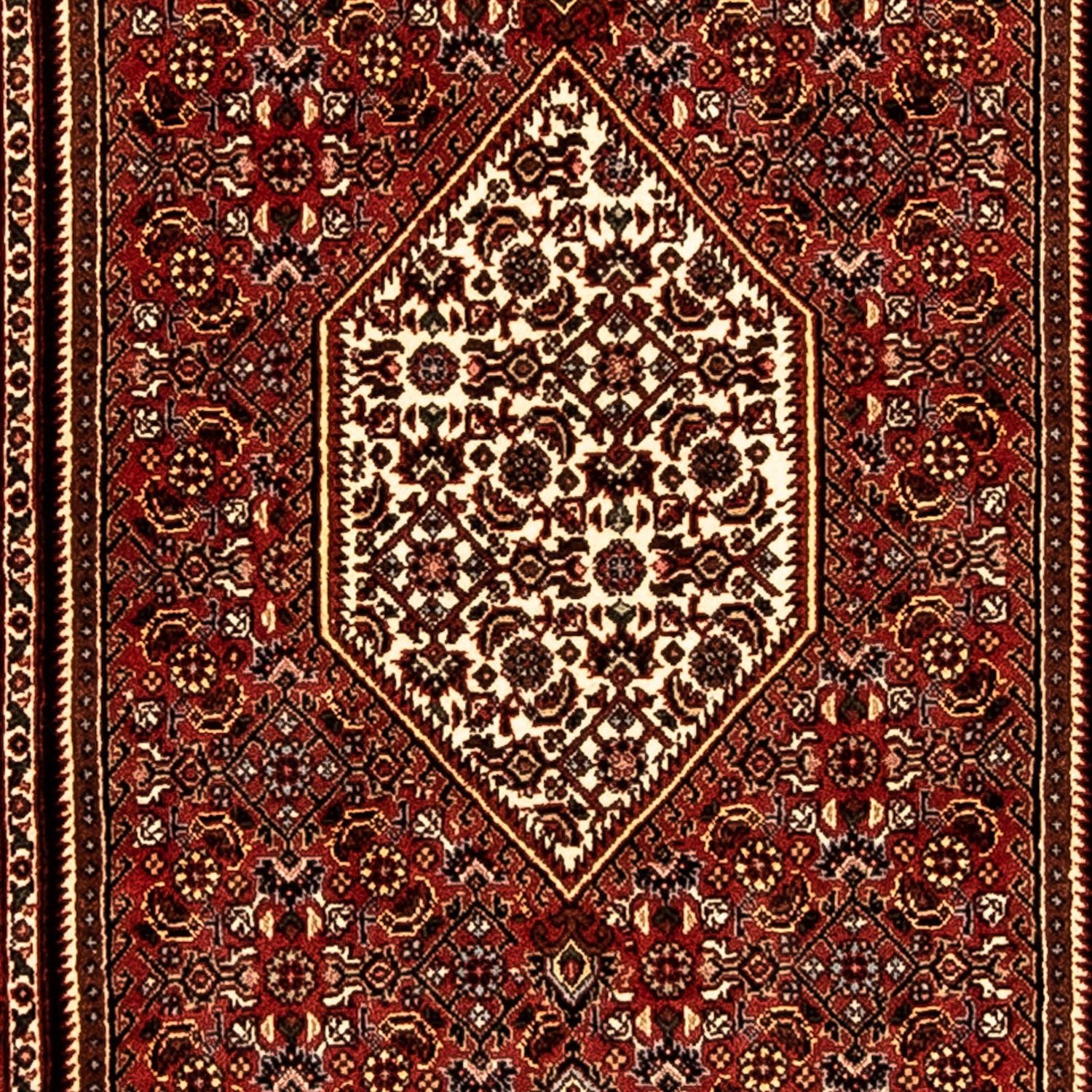 Tappeto corsia Tappeto Persero - Bidjar - 221 x 73 cm - multicolore