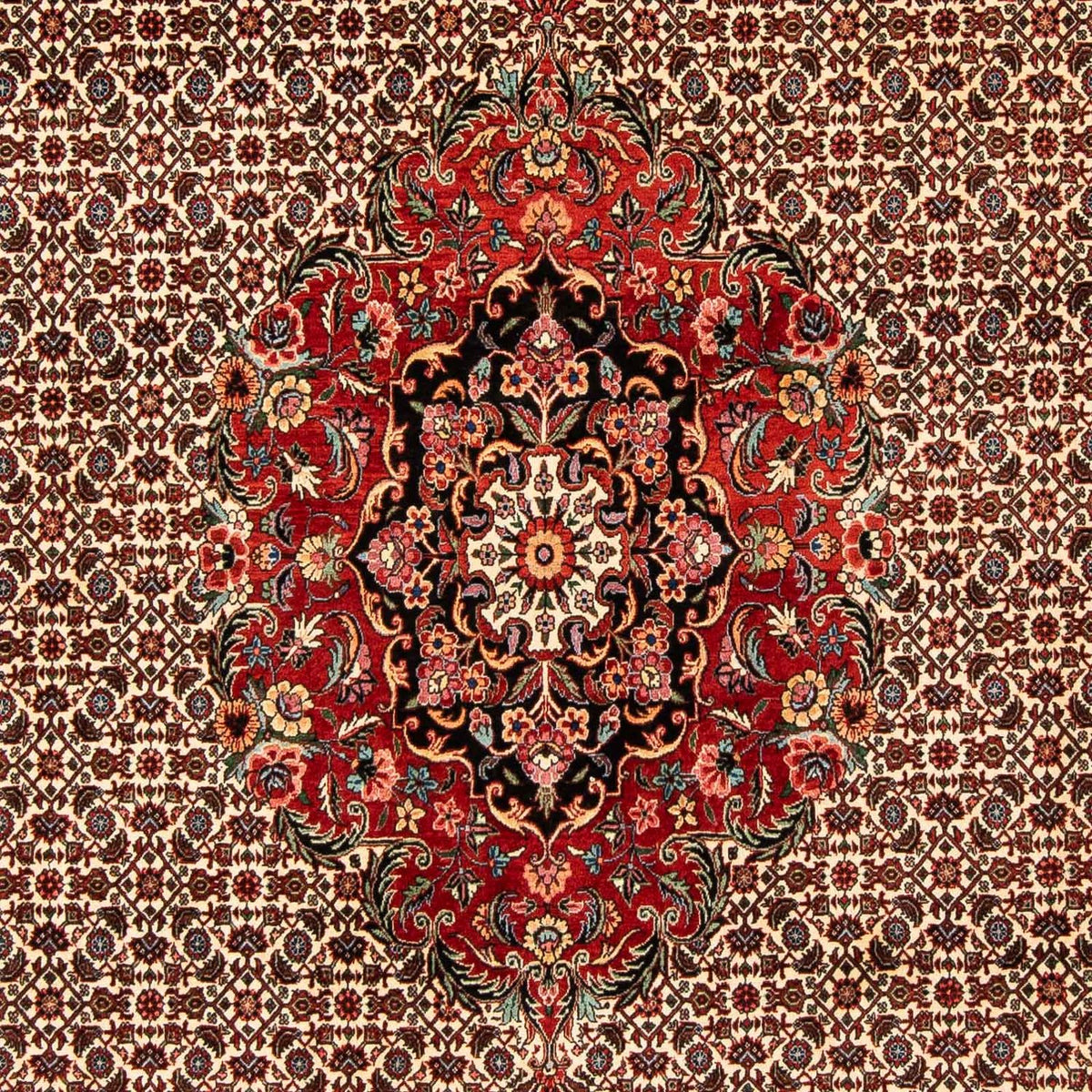 Tappeto Persero - Bidjar - 258 x 200 cm - rosso scuro