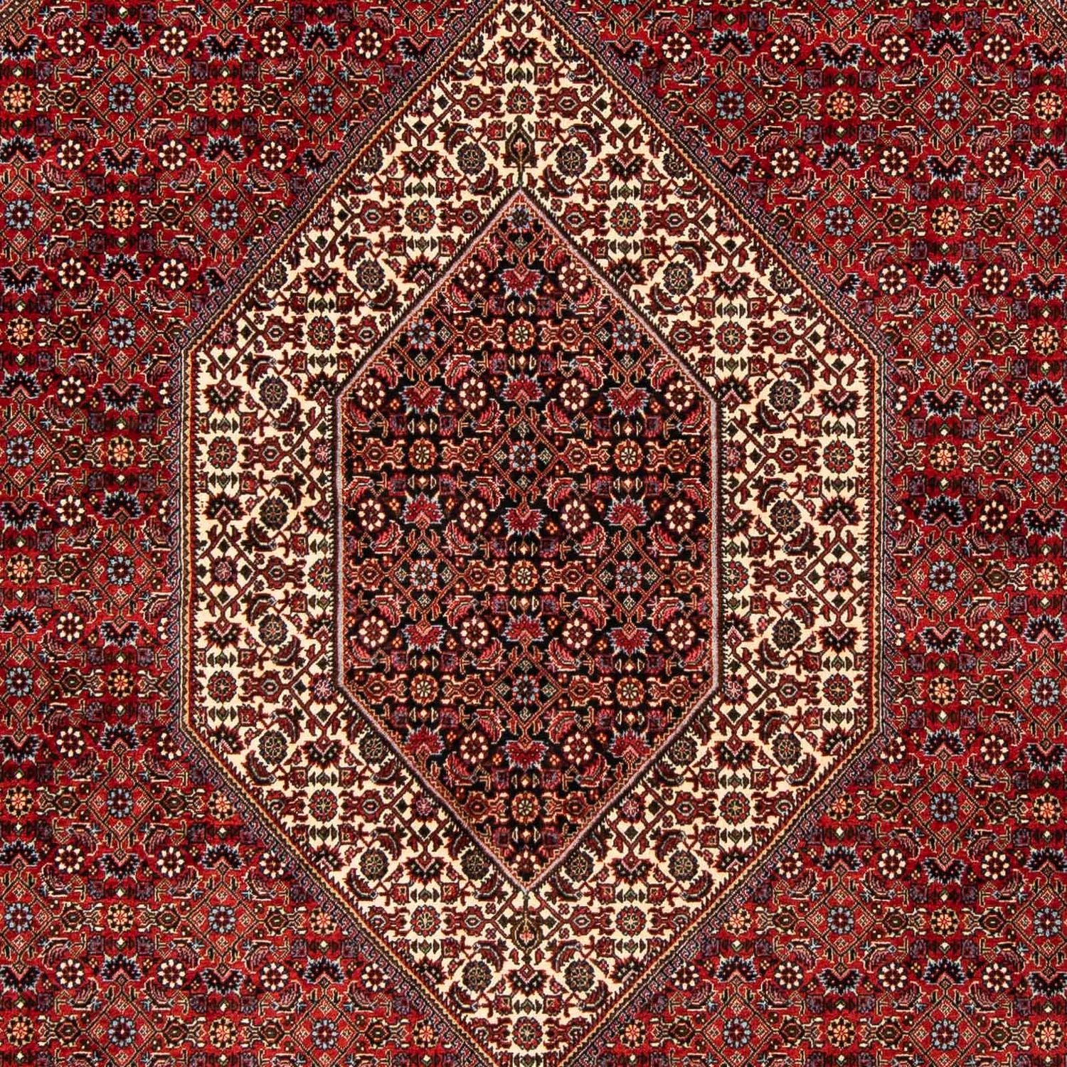Tappeto Persero - Bidjar - 244 x 200 cm - rosso scuro