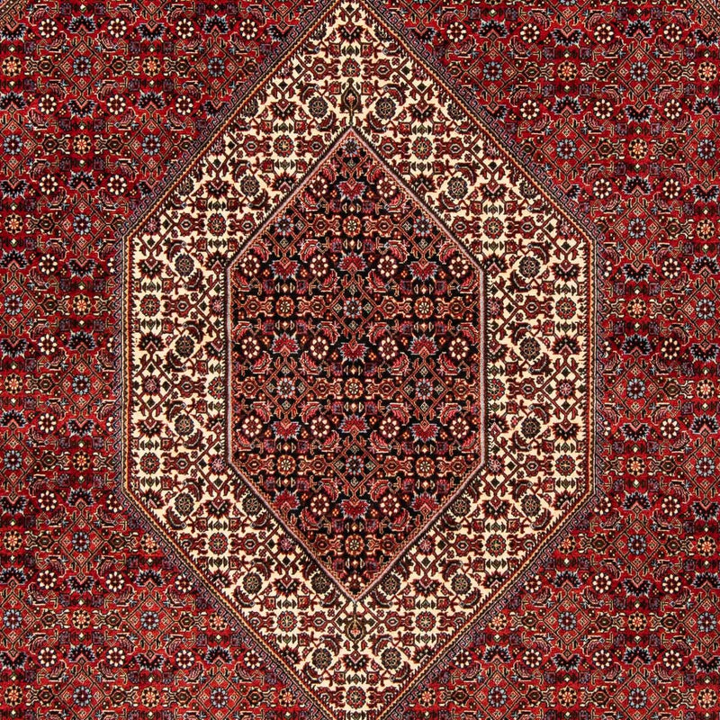 Tappeto Persero - Bidjar - 244 x 200 cm - rosso scuro