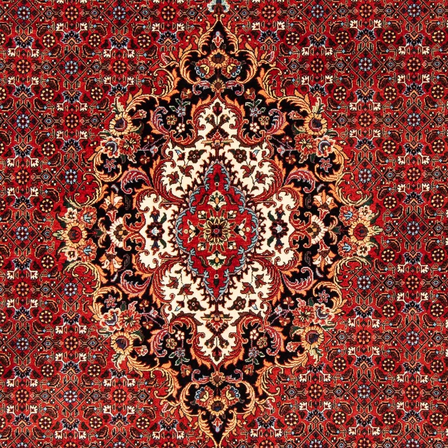 Tappeto Persero - Bidjar - 242 x 168 cm - rosso scuro