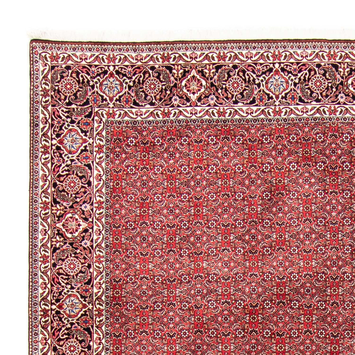 Tappeto Persero - Bidjar - 340 x 255 cm - rosso chiaro