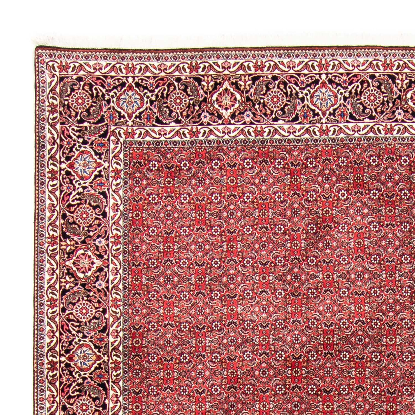 Tappeto Persero - Bidjar - 340 x 255 cm - rosso chiaro