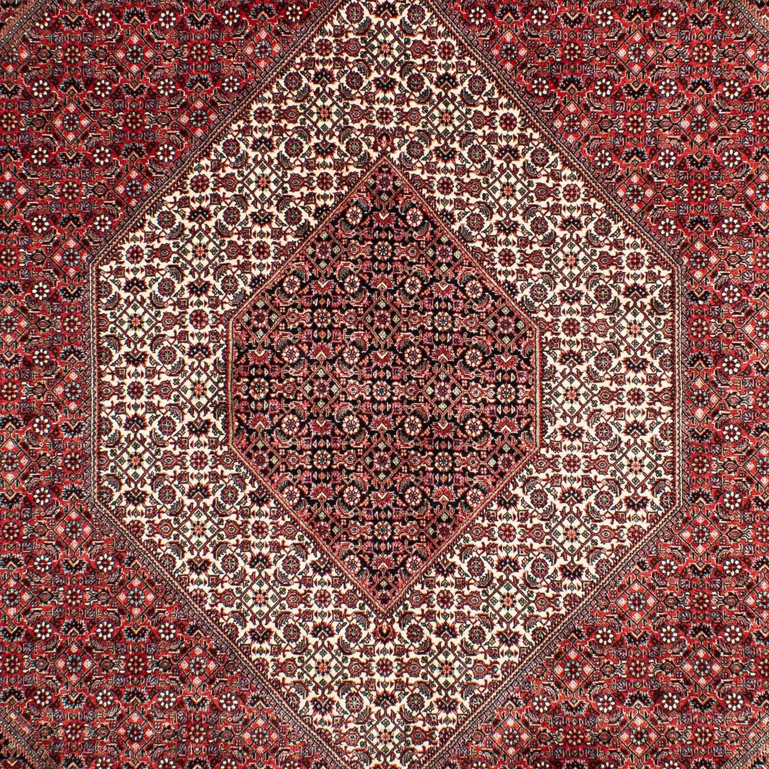Tappeto Persero - Bidjar - 302 x 204 cm - rosso chiaro